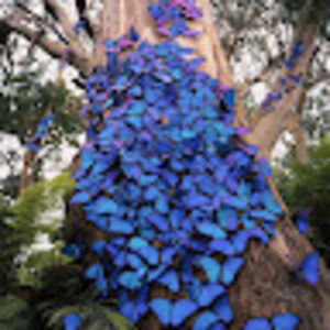 Meet your Posher, Zoe